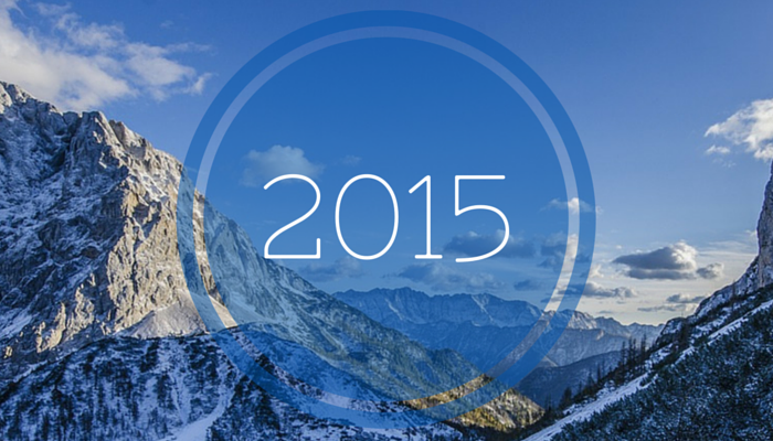 2015-year-in-review