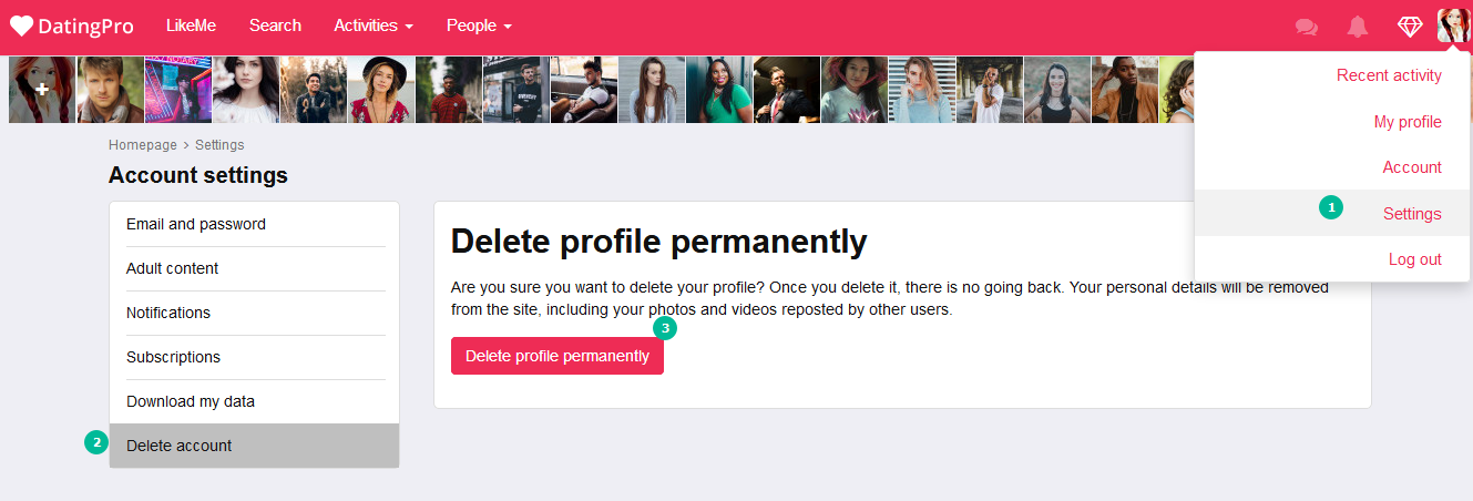Dating Pro Software: How to delete a profile